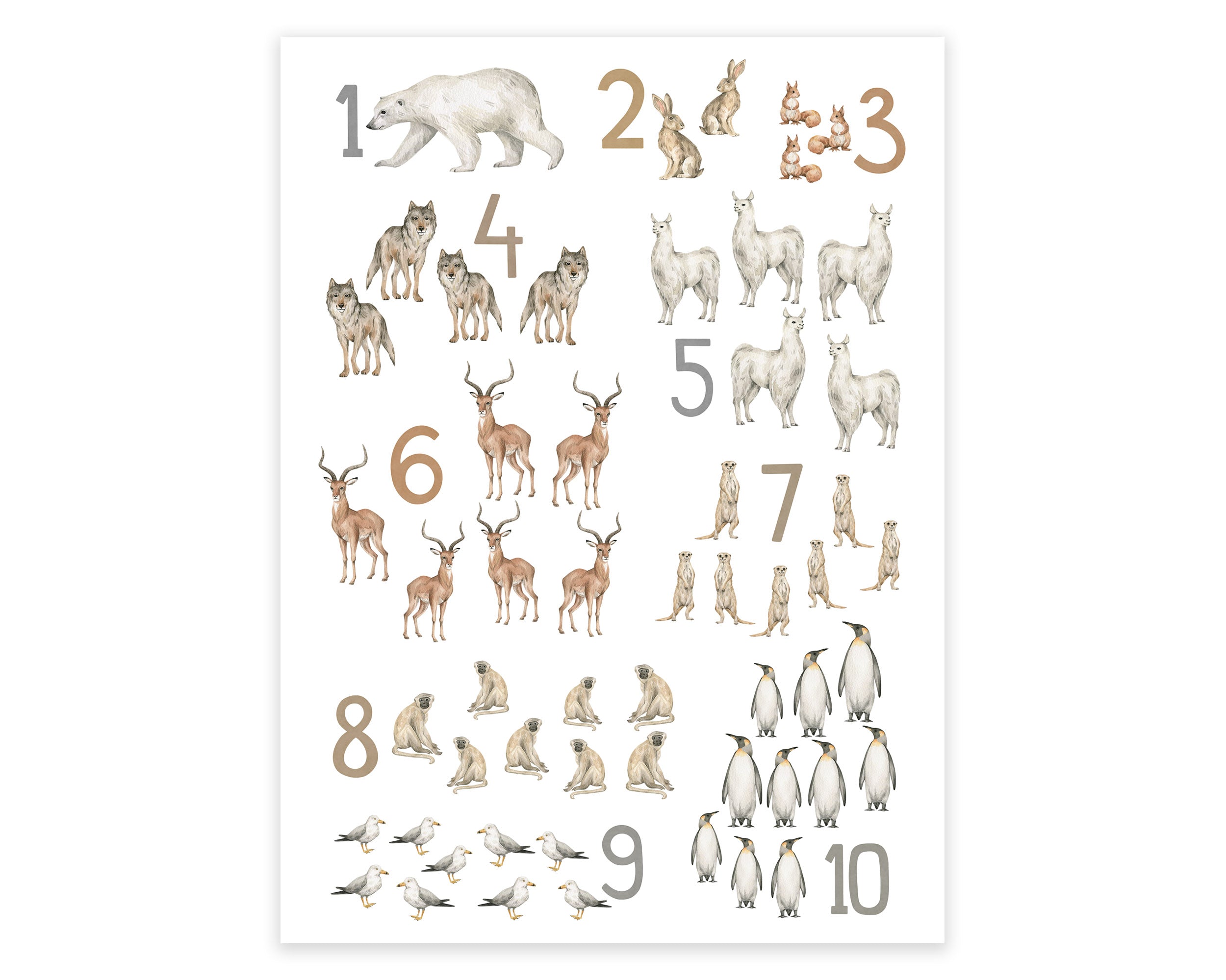 Zahlen Tierposter A3